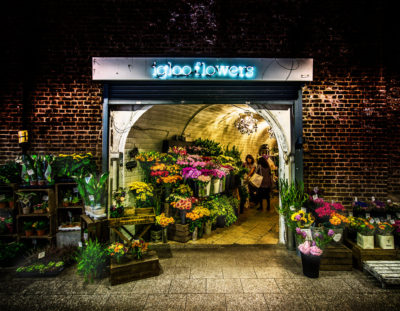 Using Photoshop to Process your Images – Example: Igloo Flowers