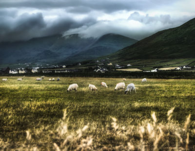 How to Use Photoshop to Edit Landscape Images – The Sheep’s Mountain | Photoshop Tutorials