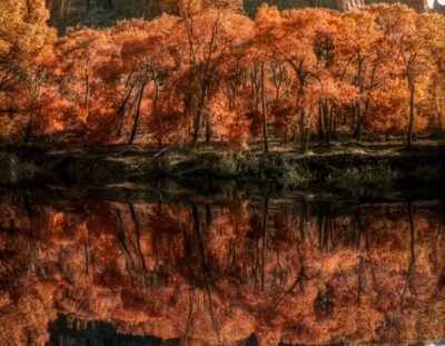How to Use Photoshop to Create a Mirror Image -Red Giant | Photoshop Tutorials