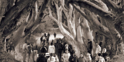 ireland landscape the dark hedges game of thrones got