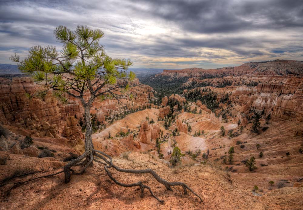 How to Edit Landscape Images in Photoshop - Bryce Canyons Guardian | Photoshop Tutorial