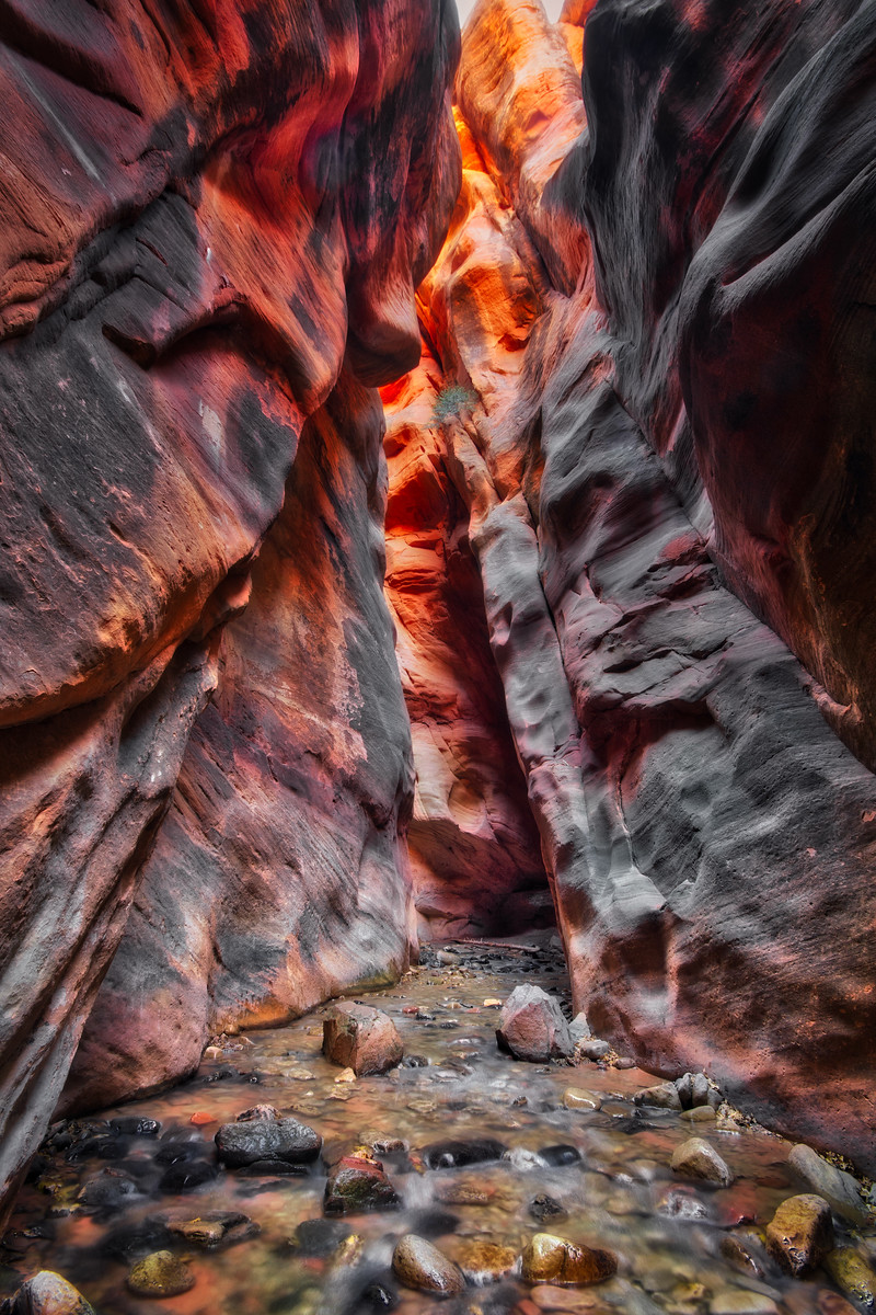 Utah's Mountain Walks