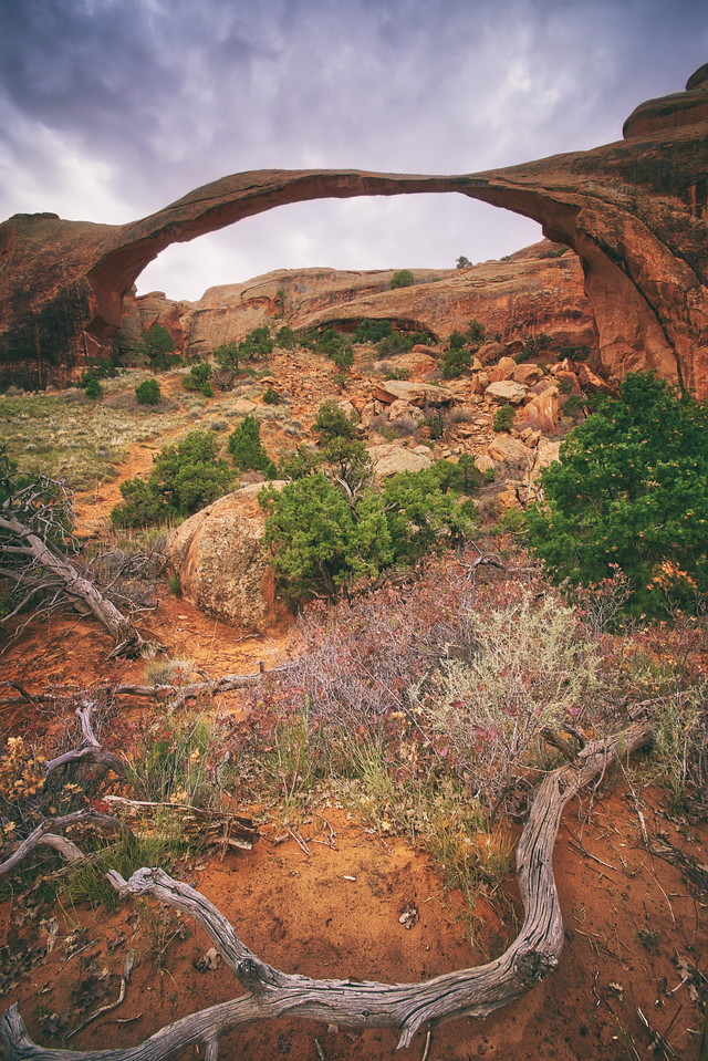 utah, united states, arches, national park, letsimage, phillip glombik, rocky mountains, arch, stone arch, nature, landscape, day, sony, USA, america, travel, hike, sun, clouds, rock, stone, red, green, bushes, parks, free