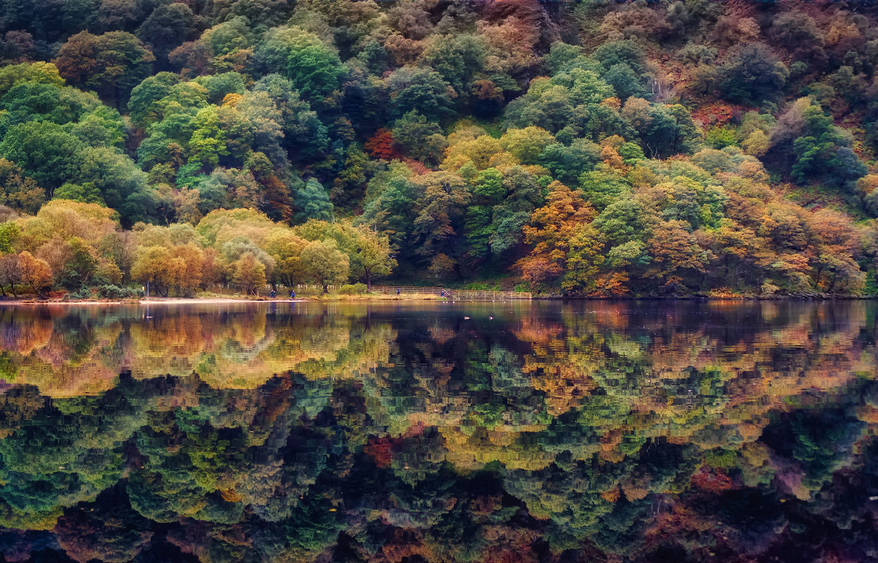 Autumn in Ireland