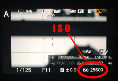 where to find ISO on your camera beginner tutorial