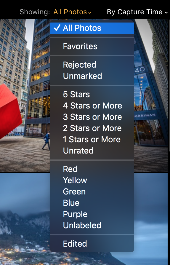 Your Full Guide To Luminar 3 Complete Review how to sort your photos