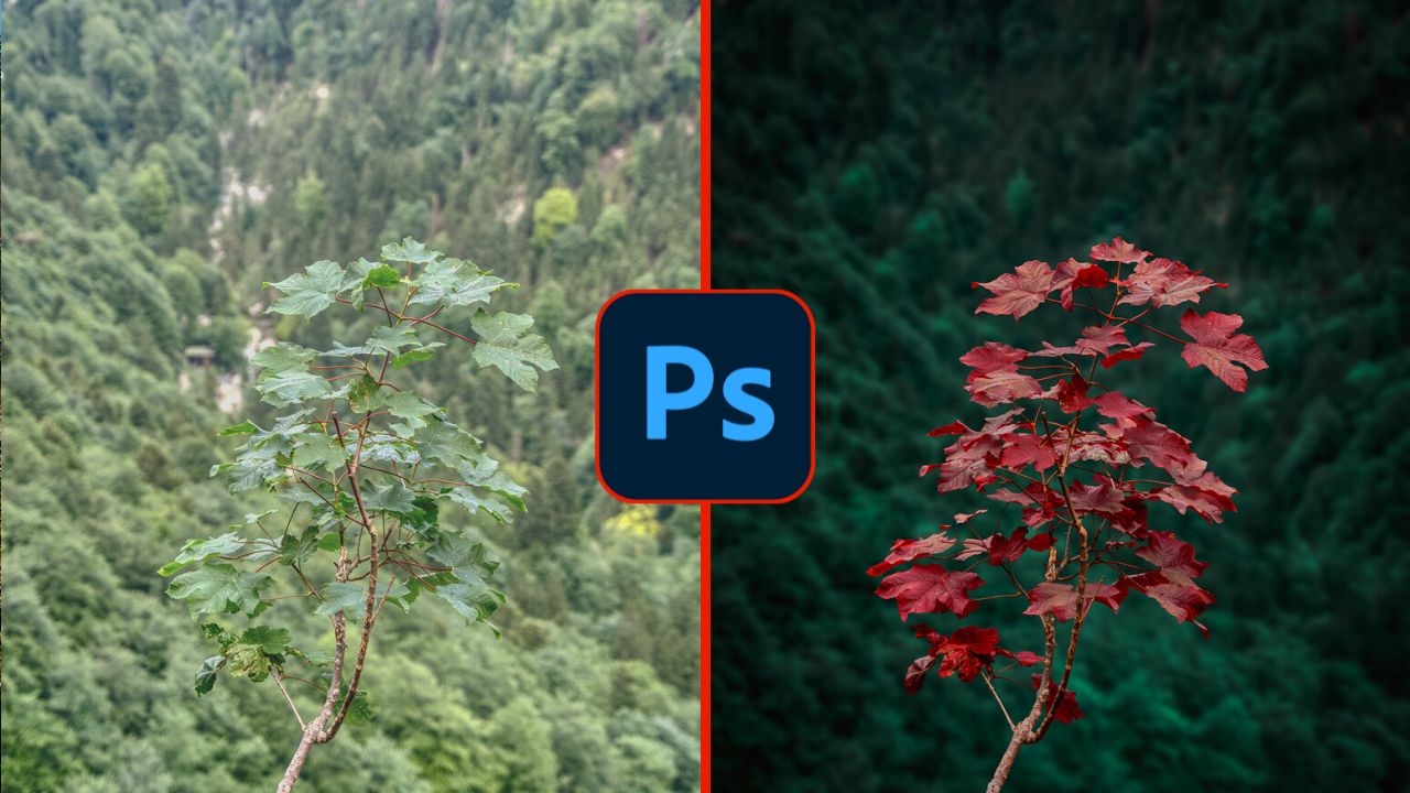 how to edit and create dark moody tones in photoshop